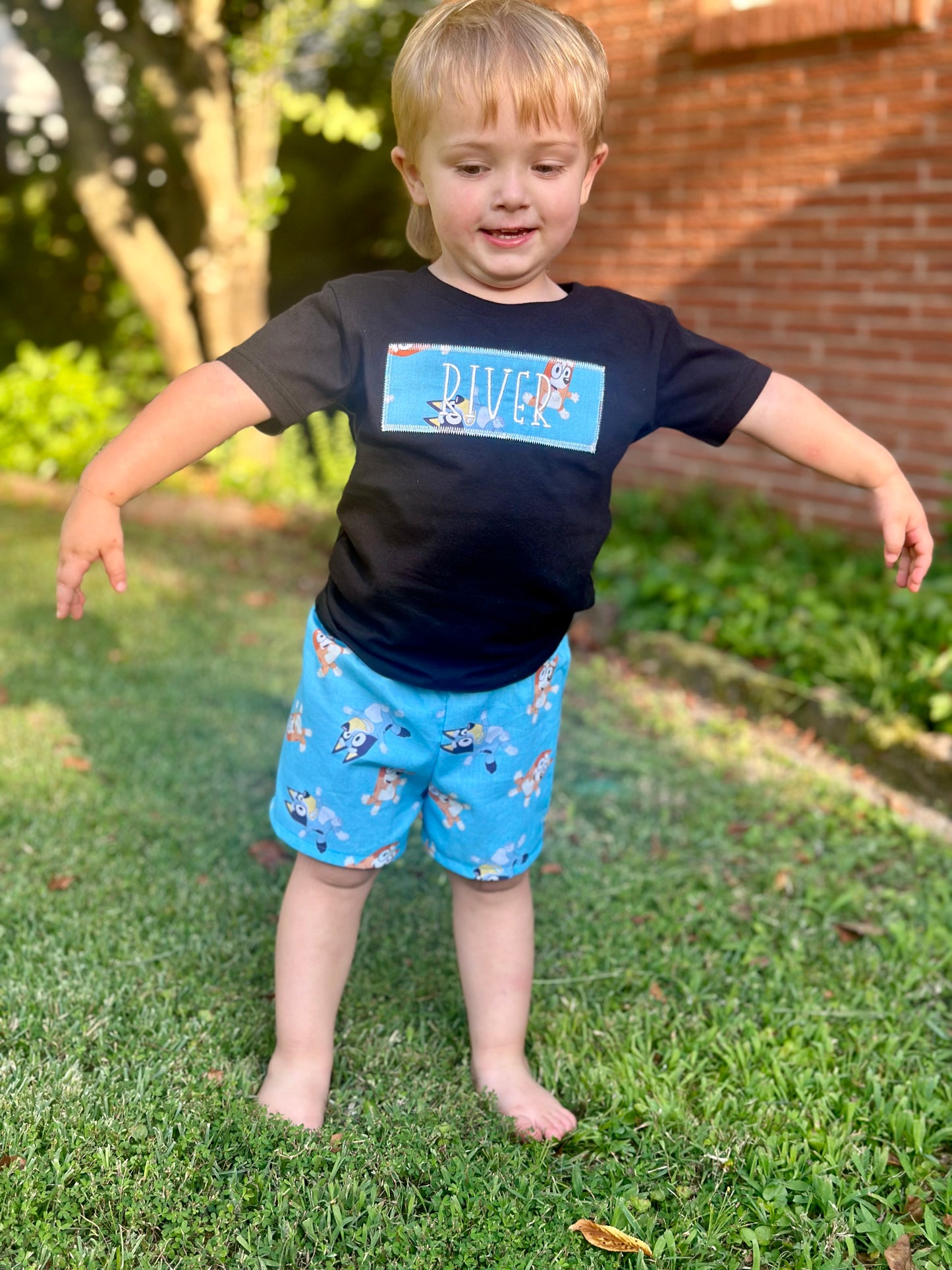 Blue Dog shirt and short set