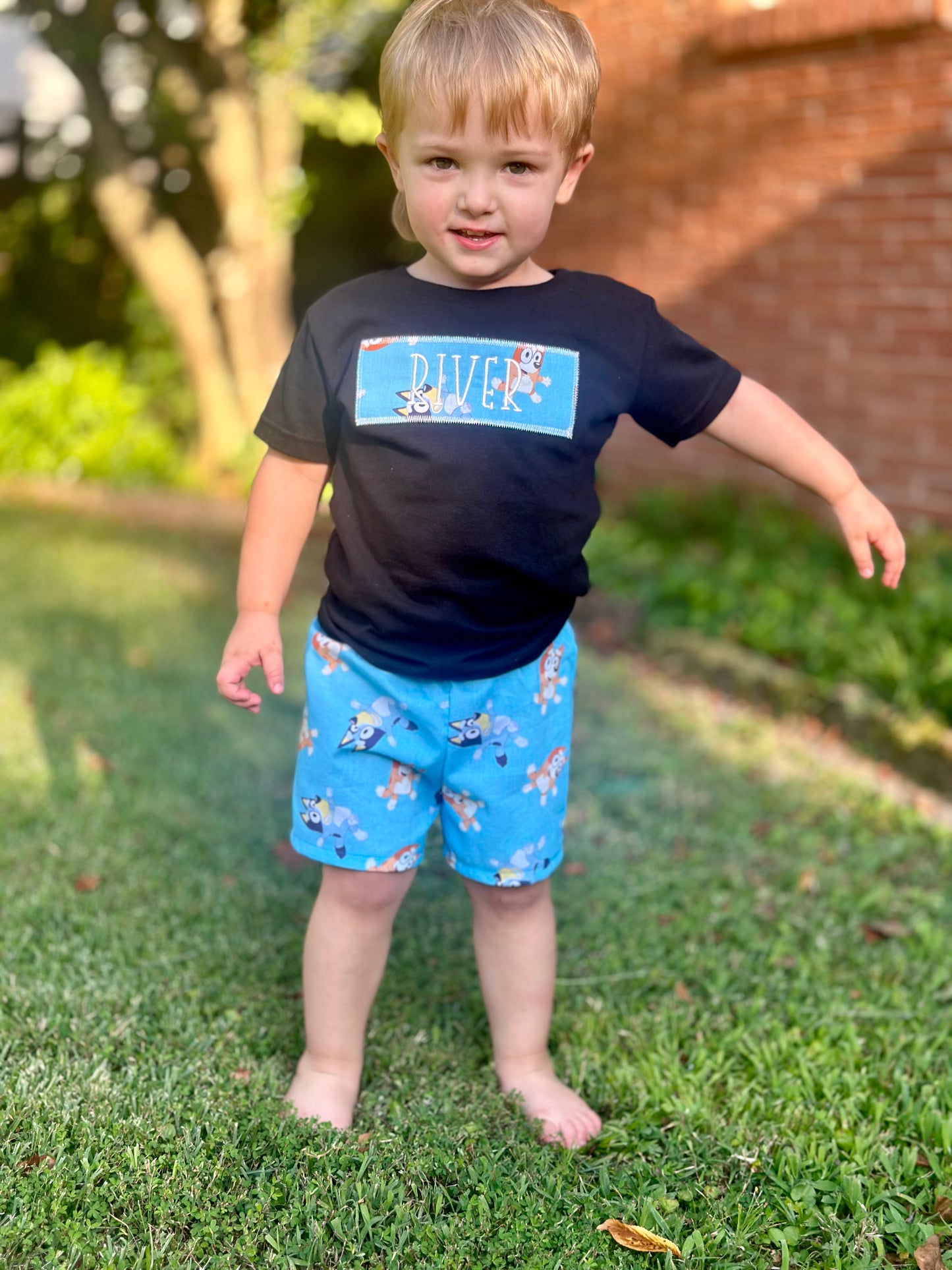 Blue Dog shirt and short set